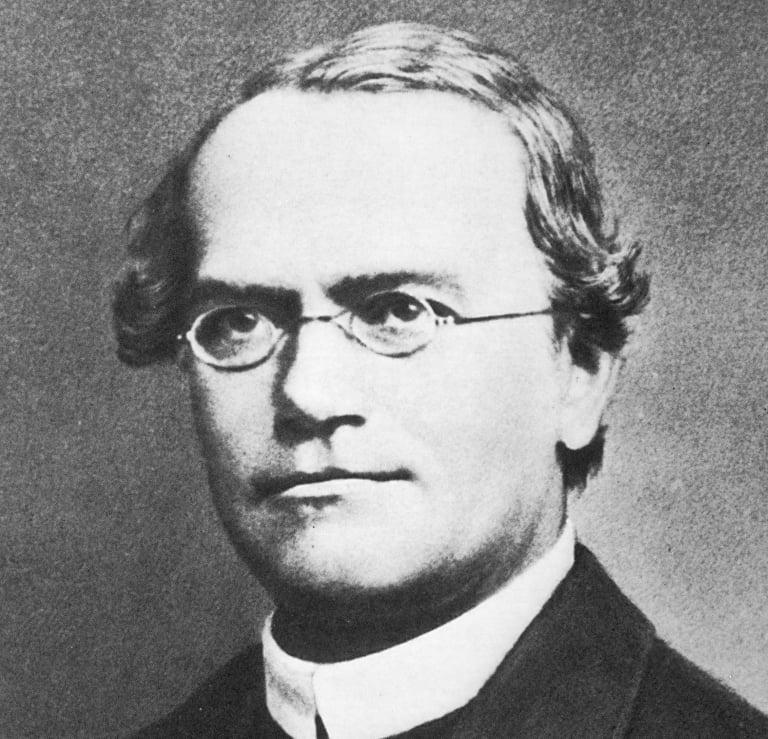 Gregor Mendel