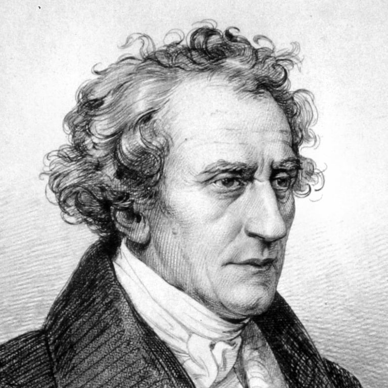 Johann Nepomuk Schaller